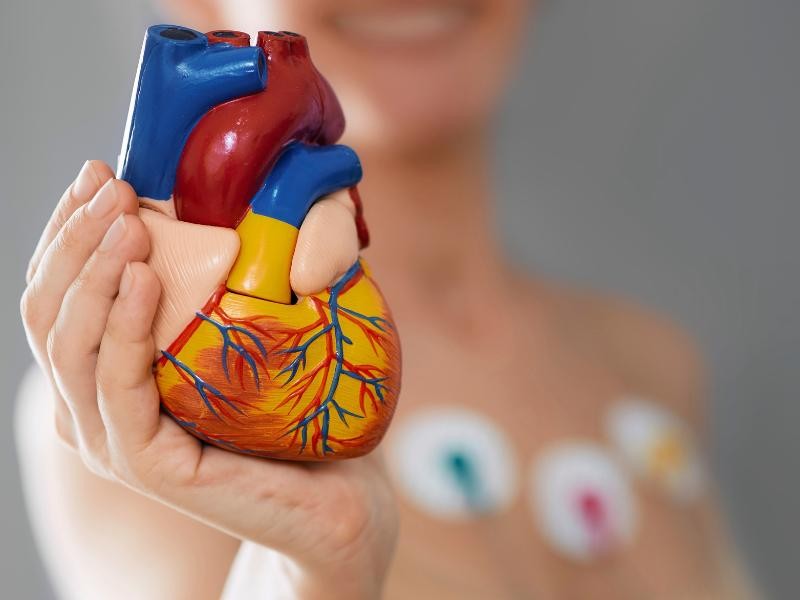Eletrocardiograma